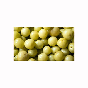 Encurtido de amla, producto tradicional de fruta en conserva para tiendas minoristas, distribuidores de alimentos y mercados étnicos globales - Product Image 4