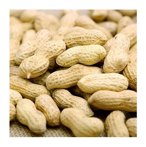 Prix des cacahuètes brutes blanchies en gros, prix des noix brutes biologiques - Product Image 5