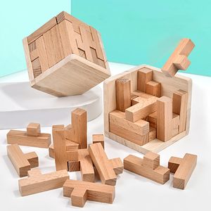 Juego mental, juego mental de madera para adultos y niños hecho en La India Impex Designs Puzzle Solver, juego de bloques Juego de rompecabezas de madera, - Product Image 1