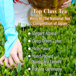 Poudre de matcha biologique japonaise de Kyoto Uji Yamasan, boîte en vrac - Product Image 4
