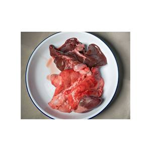 Plumes de mouton surgelées de bonne qualité et à bas prix avec trachée - Product Image 5