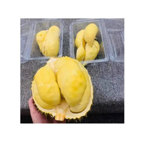 Alta calidad congelado Durian Vietnam congelado Durian pulpa IQF Durian trozos de carne para batidos postres y exportación de alimentos - Product Image 4