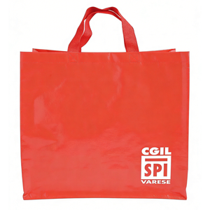 PP Woven Shopping Bags with Hook & Loop Closure and PP Webbing Handles Multi-Size <b>Box</b> <b>Packaging</b> - Product Image 1