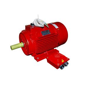 IP55 IP56 fonte triphasé boîtier anti-goutte noyau de cuivre 380V 0.18kW-315kW moteur AC moteur électrique asynchrone - Product Image 2