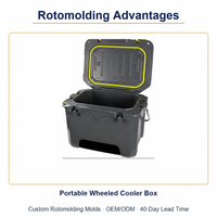 Moule de rotomoulage personnalisé OEM ODM pour glacière à roulettes, bac à glace portable, fabrication directe usine pour l'extérieur
