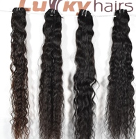 Extensions de cheveux naturels indiens Remy vierges ondulés, noirs, doux et soyeux, double trame, 100g, pour salon de coiffure