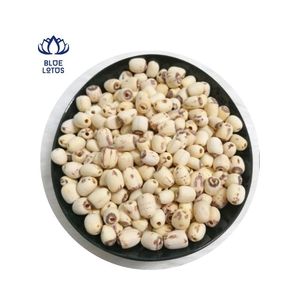 Délicieux Lotus blanc séché du Vietnam Offre Spéciale - Product Image 4