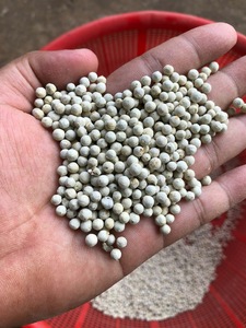 VIETNAM PIMIENTA BLANCA 600G/L DOBLE LAVADO MC /ASTA-Sra. Ellen - Product Image 2