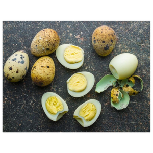 PRODUCTO LÍDER DE EXPORTACIÓN HUEVO DE CODORNIZ CONSERVADO PROVEEDOR VIETNAMÉS - Product Image 6