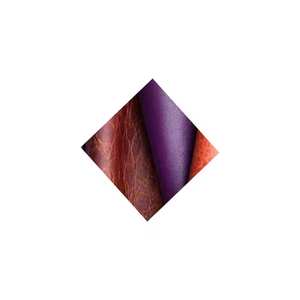 Poudre de teinture pour cuir multicolore de la meilleure qualité Fournisseur de gros indien de colorants - Product Image 6