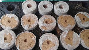 COCOPEAT sacs de culture de haute qualité 2025 Offre Spéciale du Vietnam meilleur vendeur pendant des mois bon prix pour l'exportation - Product Image 4