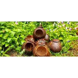 Casa de pájaros de cáscara de coco elegante y duradera hecha a mano de madera de Vietnam - Product Image 4