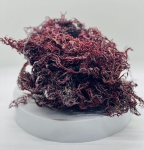 VENTA SUPERIOR 2025 PRODUCTOS PREMIUM SEA MOSS // PURPLE SEAMOSS DE VIETNAM // PRODUCTO DE BUENA CALIDAD DE VIETNAM - Product Image 1