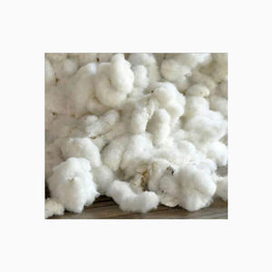 Bales de coton brut biologique - Matériel de rembourrage écologique et respirant, origine américaine, prêt pour le marché international - Product Image 6