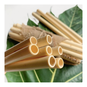 Pailles en bambou naturelles écologiques Paille à boire biodégradable réutilisable avec brosse pour pique-nique en plein air, camping, fourniture d'hôtel - Product Image 3