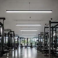 Luminaire suspendu linéaire LED en aluminium pour salle de sport et fitness, 1200 mm, 6000K, intensité variable, pour plafond de salle