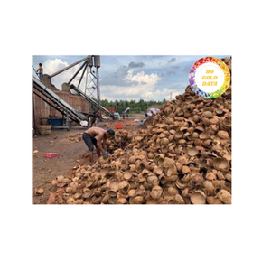 Coquille de noix de coco matériau dur naturel du Vietnam largement utilisé pour l'artisanat décoration de la maison et des produits durables - Product Image 2