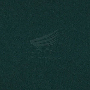 Pakistan Manufacturer Men T-Shirt Lightweight Low MOQ Men T-Shirt Customized Color Men T-Shirt - Product Image 6