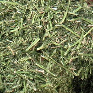 Heno de alfalfa 100 por ciento natural con heno de alfalfa proteico empaquetado en pacas y disponible para alimentación de animales a granel - Product Image 6