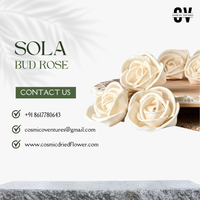 Harga Grosir Pabrik Mawar Sola Wood Bud Ramah Lingkungan, Mirip Asli, Berkualitas Tinggi, Serbaguna, Elemen Dekorasi Indoor/Outdoor, Halloween