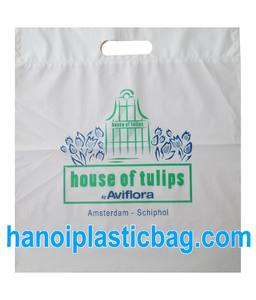 Bolsas de Compra de Plástico LDPE Reutilizables Personalizadas al por Mayor con Asa Troquelada 'Gracias' para Uso Doméstico, Impresión de Embalaje, Plásticos de Hanoi - Product Image 4