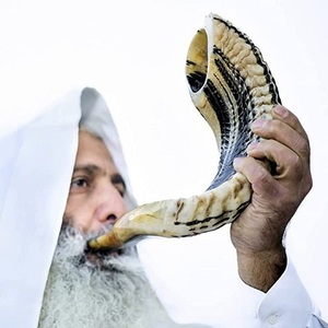 Ram Horn Shofar Trompeta de Israel Shofar Kosher pulido con gran sonido 15 ''-20'' Inc Disponible en A Z CRAFTS - Product Image 4