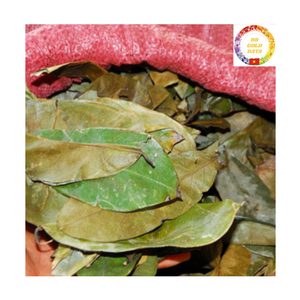 Feuilles de corossol séchées naturelles du Vietnam, vente en gros, thé aux feuilles de graviola, approvisionnement en vrac - Product Image 2