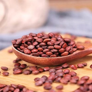 เมล็ดพุทราป่าแท้เกรดสูง - Product Image 6