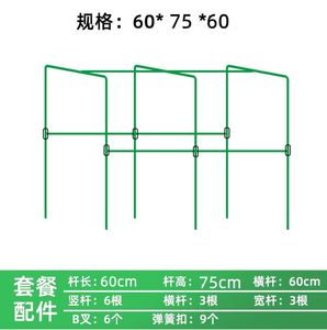 Arche de jardin Décoration de roses Passerelle extérieure Plantes grimpantes Vigne de raisin Treillis métallique - Product Image 5