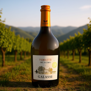 "Premium Italian Sparkling <b>Wine</b>-6 Bottles Per Box-Galassi Pignoletto Frizzante DOC 750ml" - Product Image 3
