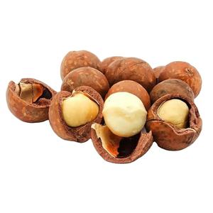 Bán buôn chất lượng tốt ở mức giá rẻ hạt <span class=keywords><strong>Macadamia</strong></span> người mua giá của hạt <span class=keywords><strong>Macadamia</strong></span> Hạt <span class=keywords><strong>Macadamia</strong></span> Hữu Cơ belgium - Product Image 2