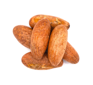 Noix de kola amère biologique à vendre à bon prix au meilleur prix - Product Image 6