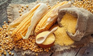 Almidón de maíz de alta calidad para aplicaciones farmacéuticas e industriales de alimentos Almidón de maíz puro sin gluten sin OGM a granel - Product Image 5