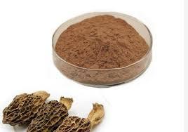Morel Champignon Extrait Poudre Organique champignon morchella premium qualité bon emballage bas prix origine vietnam - Product Image 4