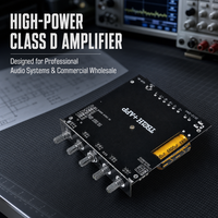 Carte d'amplification 2.1 canaux TB21H 50W+50W+100W TPA3116 AUX USB DC12-24V pour système audio domestique Vente en gros OEM