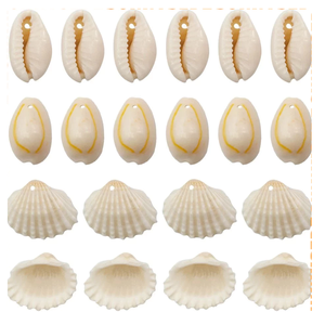 Mezcla de conchas marinas pequeñas reales para decoración de uñas, decoración de fundas de teléfono, fabricación de jabonera de conchas marinas - Product Image 5