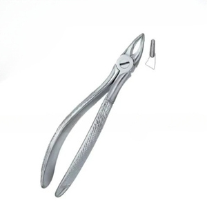 Produits de logo personnalisé de haute qualité Forceps d'extraction de dents dentaires Fig.30 S Instruments dentaires en acier inoxydable - Product Image 6