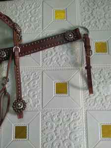 Juego de cabeza y coraza de cuero Premium Duradero y elegante - Product Image 2