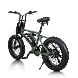 Agent distributor dealer electric bike ebike fatbikes BMX UD UDX green