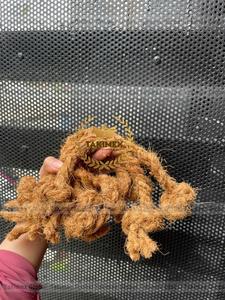 Chewing Rope From Coconut Husk Coir Rope for Pet <b>Toy</b> Pin on Cocoball <b>Dog</b> <b>Toys</b> - Product Image 6