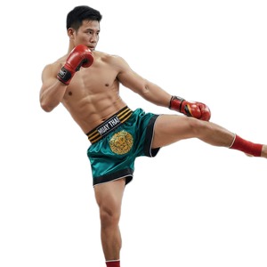 กางเกงมวยไทย MMA แบบยืดได้ ออกแบบเองสำหรับมืออาชีพ สำหรับทุกเพศ ผ้าซาติน สำหรับฝึกซ้อมคิกบ็อกซิ่ง ดีไซน์แบบดั้งเดิม - Product Image 6