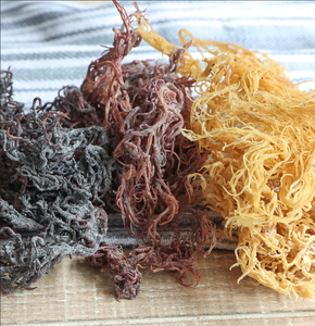Dried Cottonii Seaweed For B2B Buyers <b>Natural</b> Seaweed Used In Food Additives And Carrageenan - Product Image 6