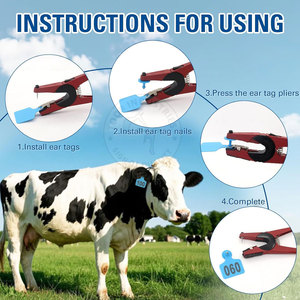 <b>Plastic</b> Ear Tags for Goats, Sheep, and Cattle With Rustproof <b>Studs</b> High Quality Animal Ear Tags for Livestock Tracking - Product Image 5