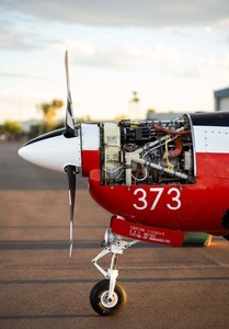 Shorts TUCA_NO MK1 de 1992, en bon état, fabriqués aux États-Unis - Product Image 3