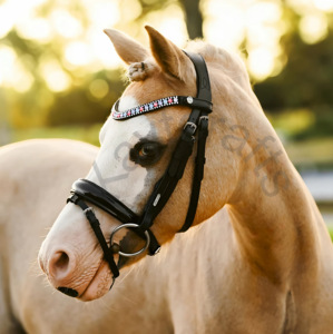 บังเหียนยูนิคอร์นพร้อมแถบคิ้วคริสตัลสีชมพูและสีม่วงและจมูก Hanoverian สิทธิบัตร - Product Image 2