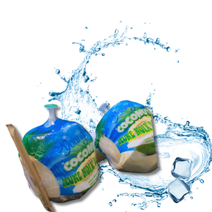 Dulzura tropical de coco fresco vietnamita con cáscara refrescante sabor dulce y dulce - Product Image 1