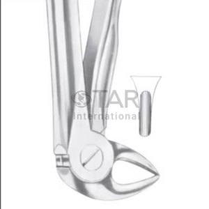Fig. 33S Raíces inferiores para niños Fórceps de extracción de dientes de diferentes tamaños Instrumentos médicos dentales - Product Image 3