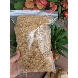 VIETNAMESE SARGASSUM <b>SEAWEED</b> - HIGH QUALITY - 100% NATURAL - Product Image 3
