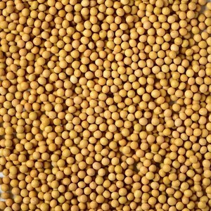 เพลเวีย โฮลเซล แทนซาเนีย เมล็ดงาบริสุทธิ์ 100% เกรดอาหาร มีสีขาว/สีดำให้เลือก จำหน่ายแบบขายส่ง พร้อมรับประทาน สดใหม่ ขนาด 14-32 แห้ง - Product Image 4