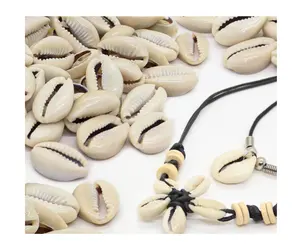Wholesale sea shells white yellow cowrie shell bulk quantity ocean cowrie seashells for crafts making